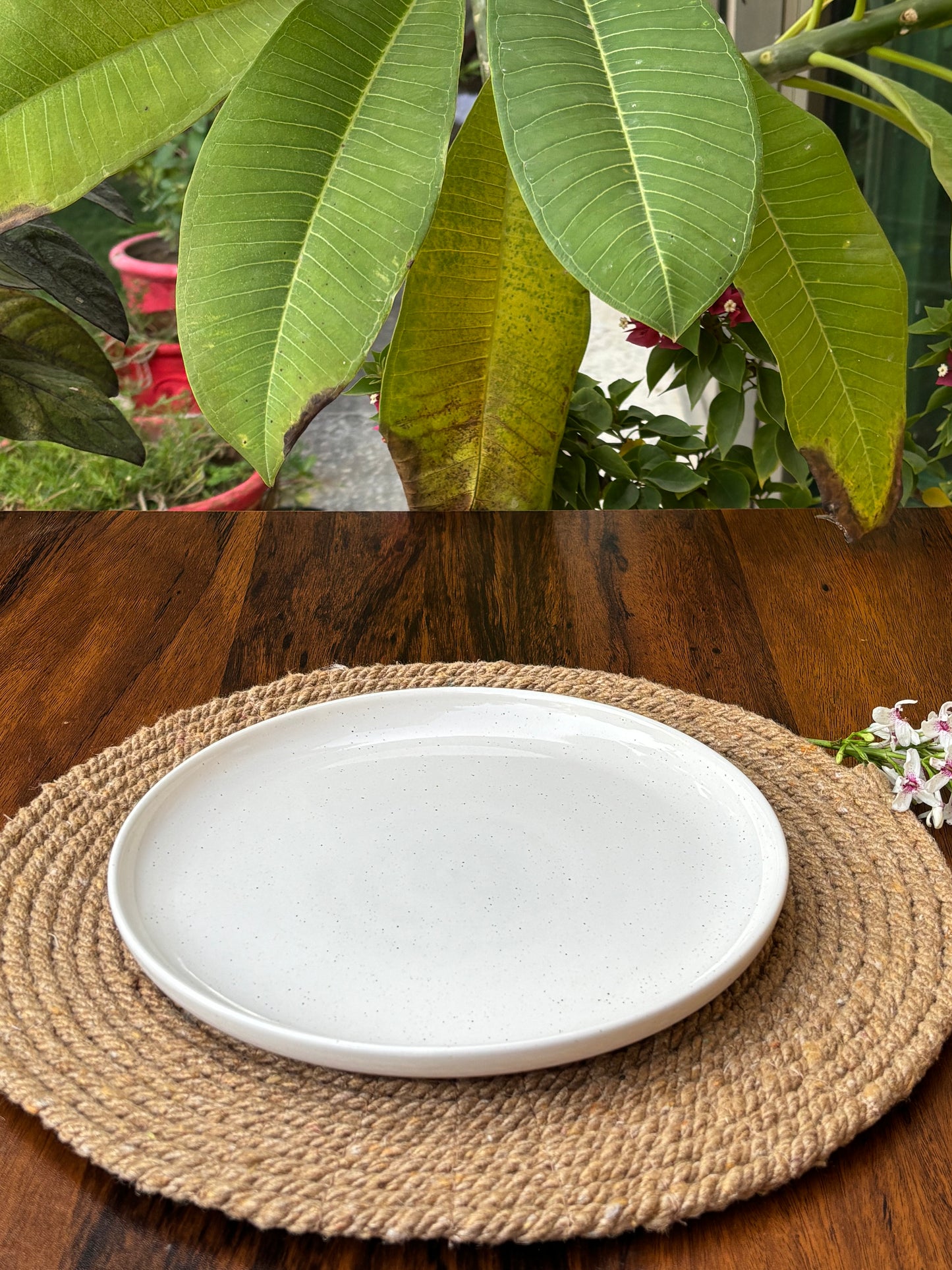 Premium White Speckled Ceramic Plates