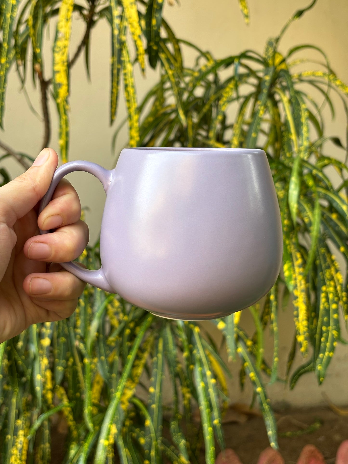 Cozy Curvy Handheld Ceramic Mug