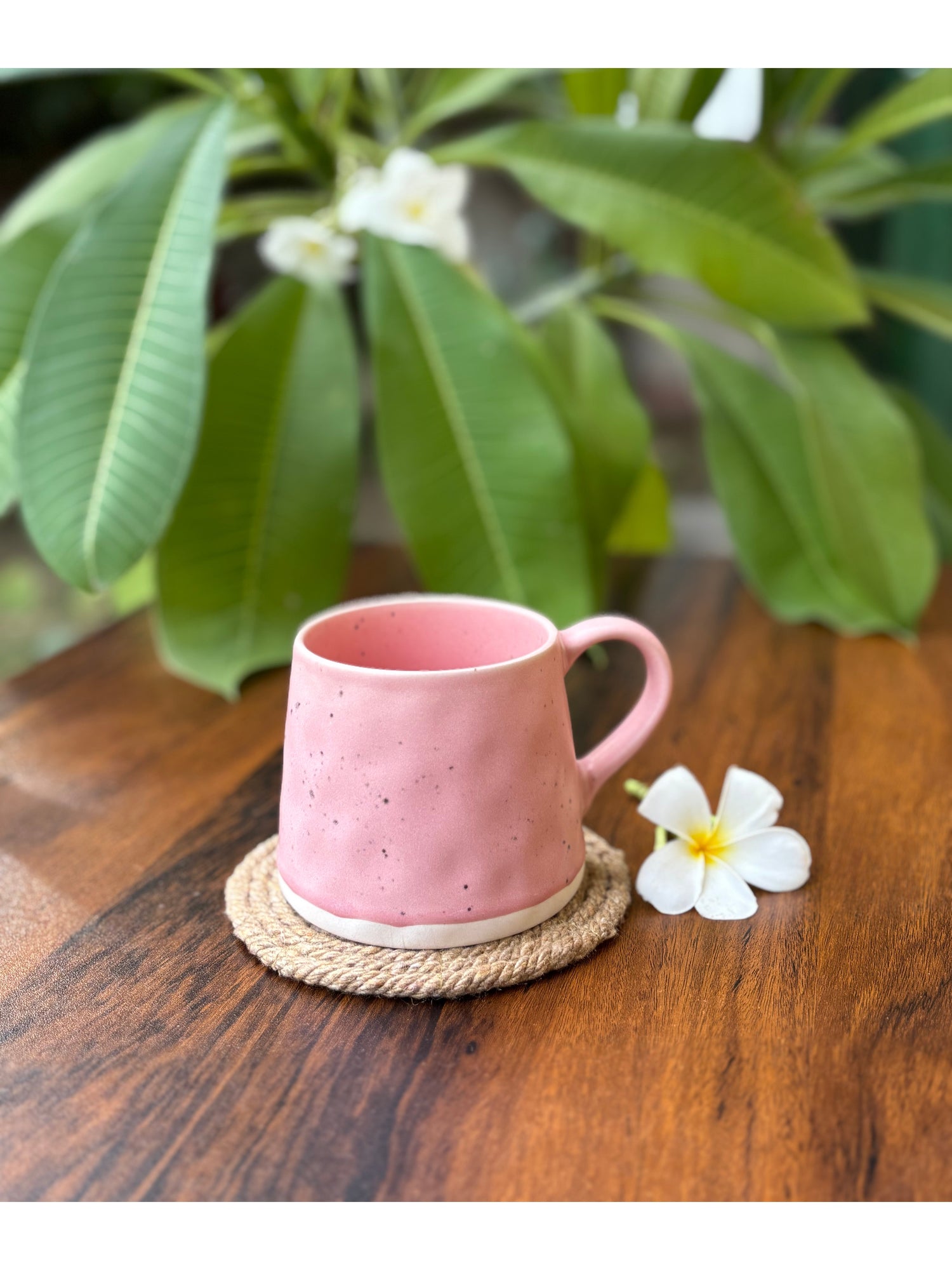 Ceramic Mugs