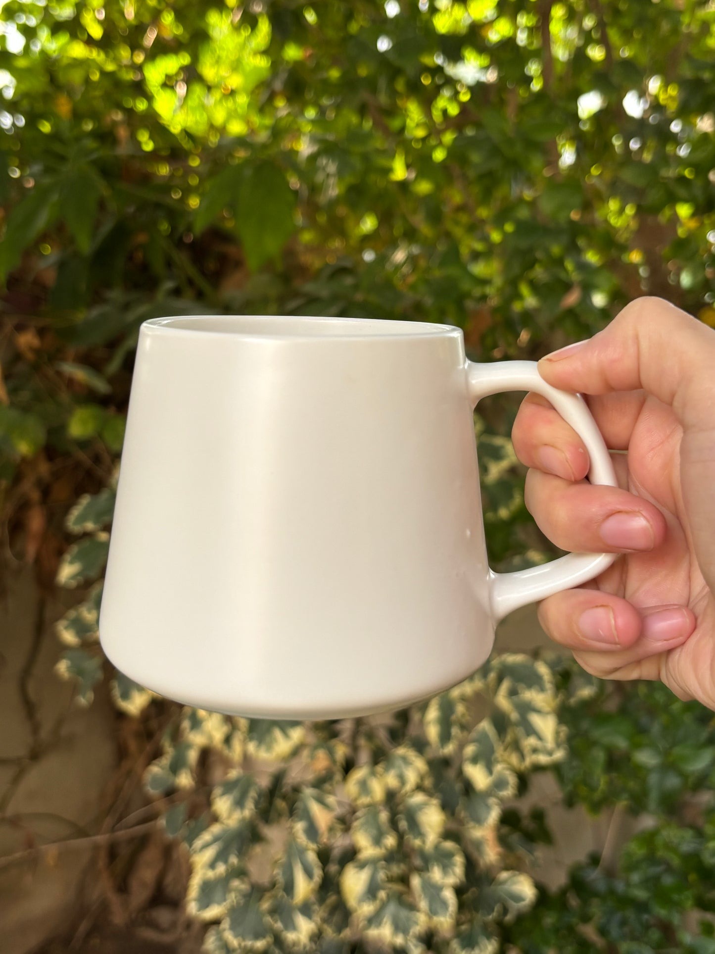 Modern Matte Ceramic Coffee Mugs