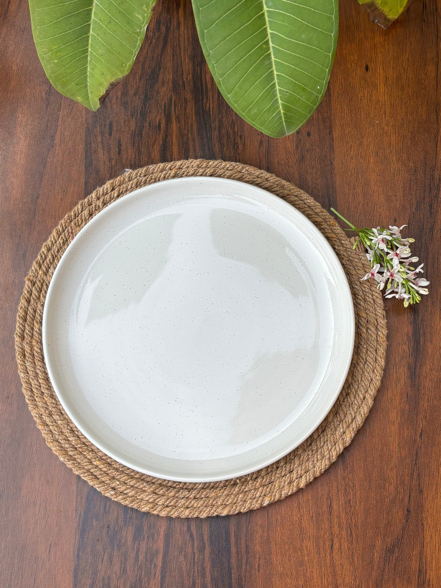 Premium White Speckled Ceramic Plates