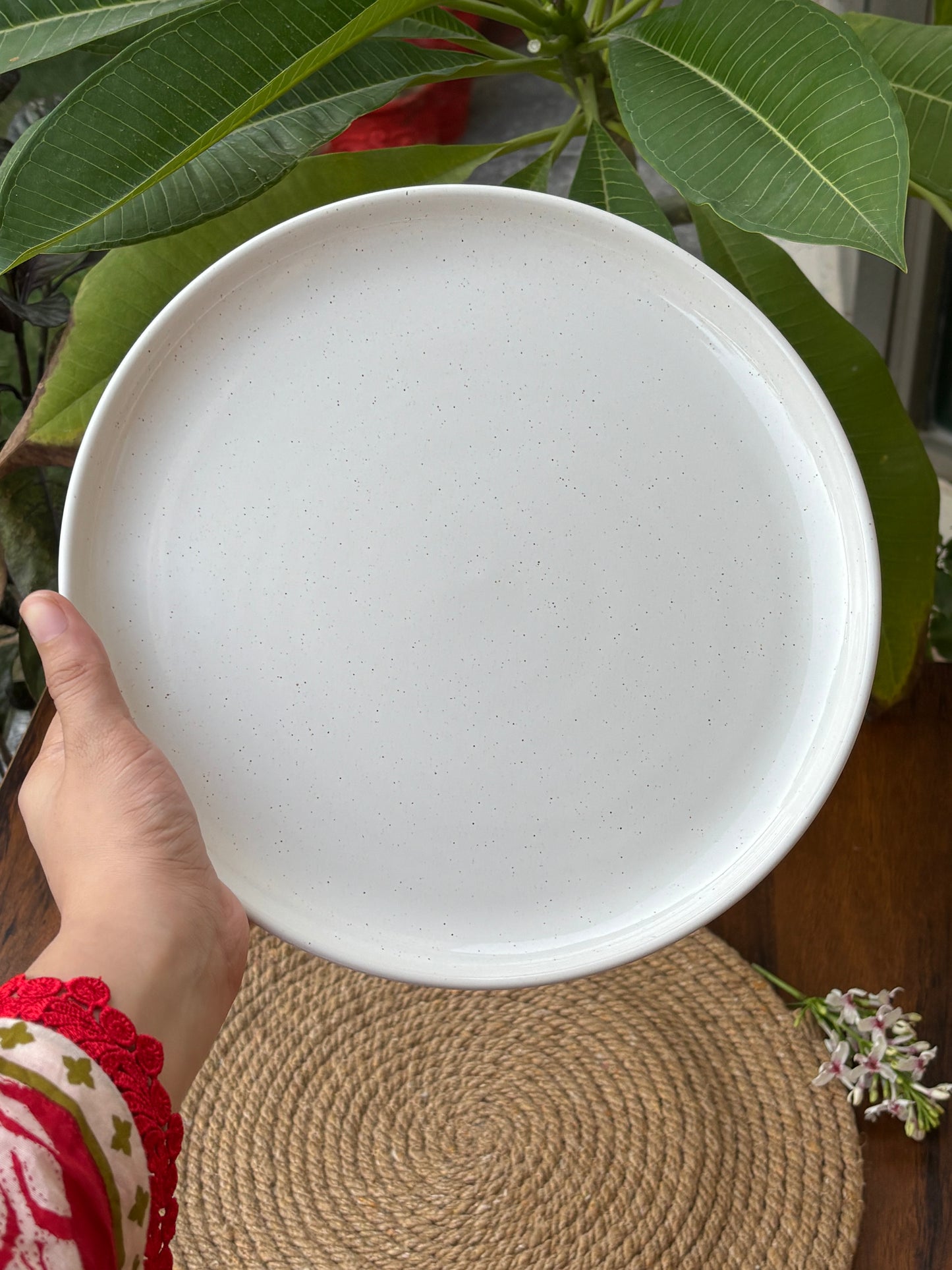Premium White Speckled Ceramic Plates