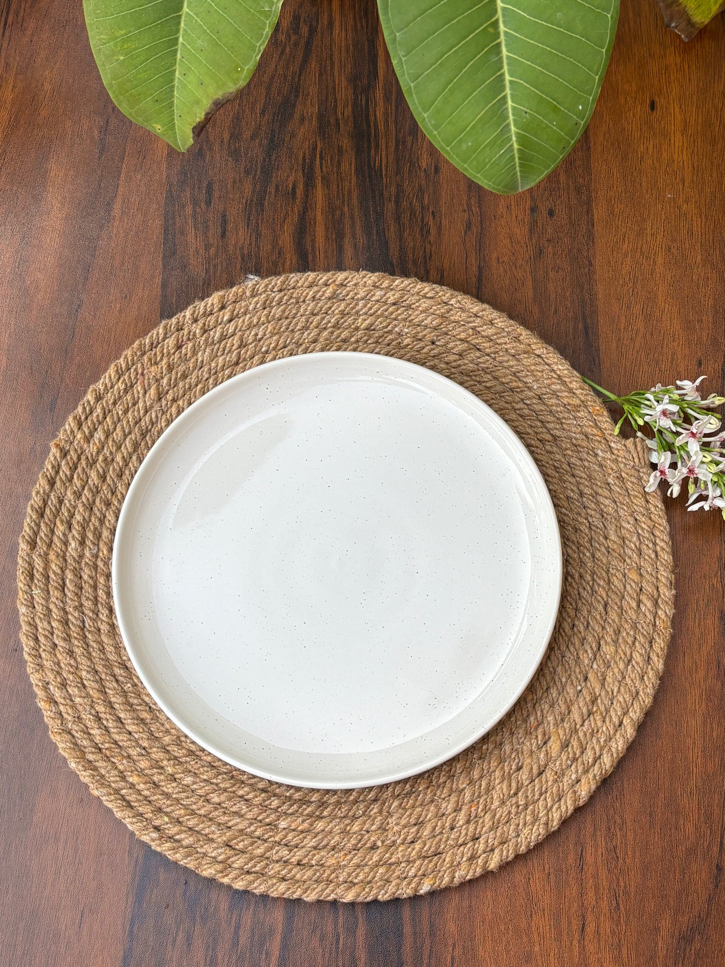 Premium White Speckled Ceramic Plates