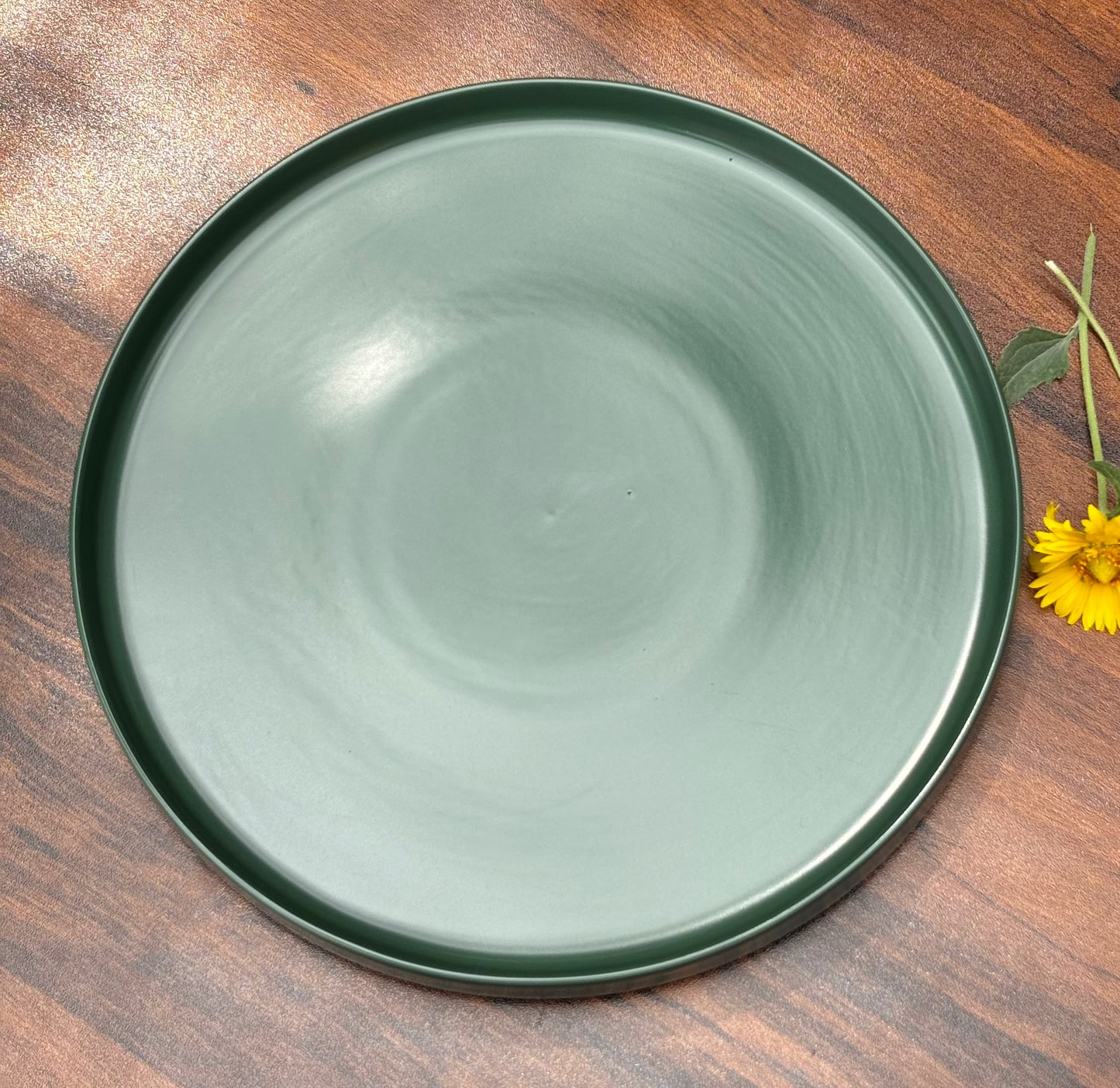10 INCH BOTTLE GREEN CERAMIC DINNER PLATE