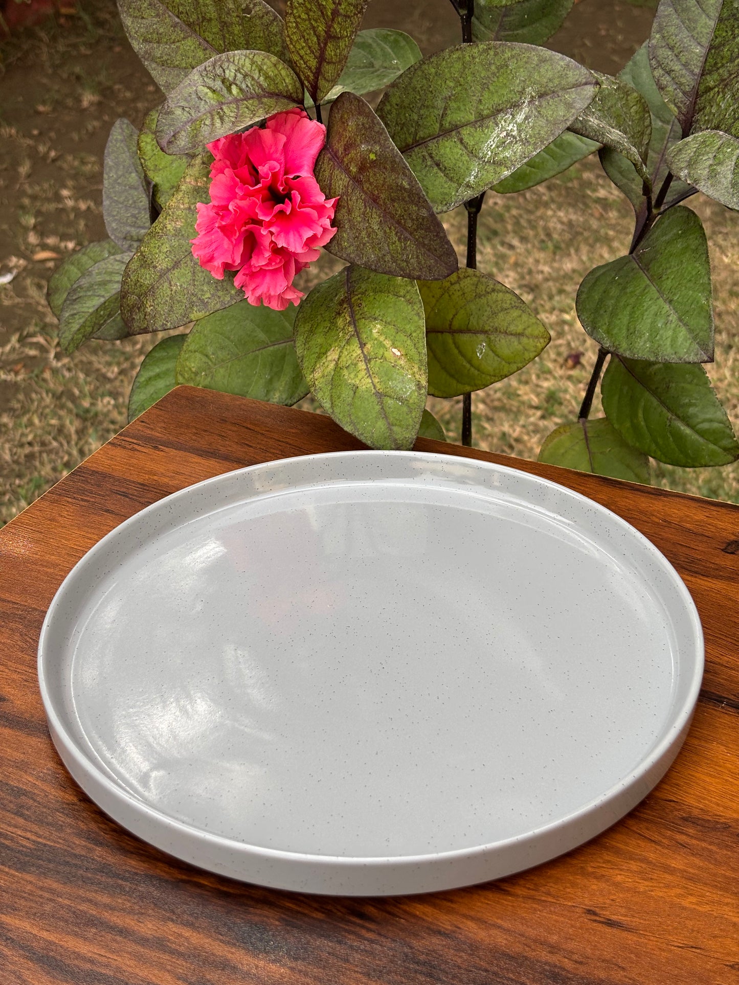 10 INCH CERAMIC DINNER PLATE