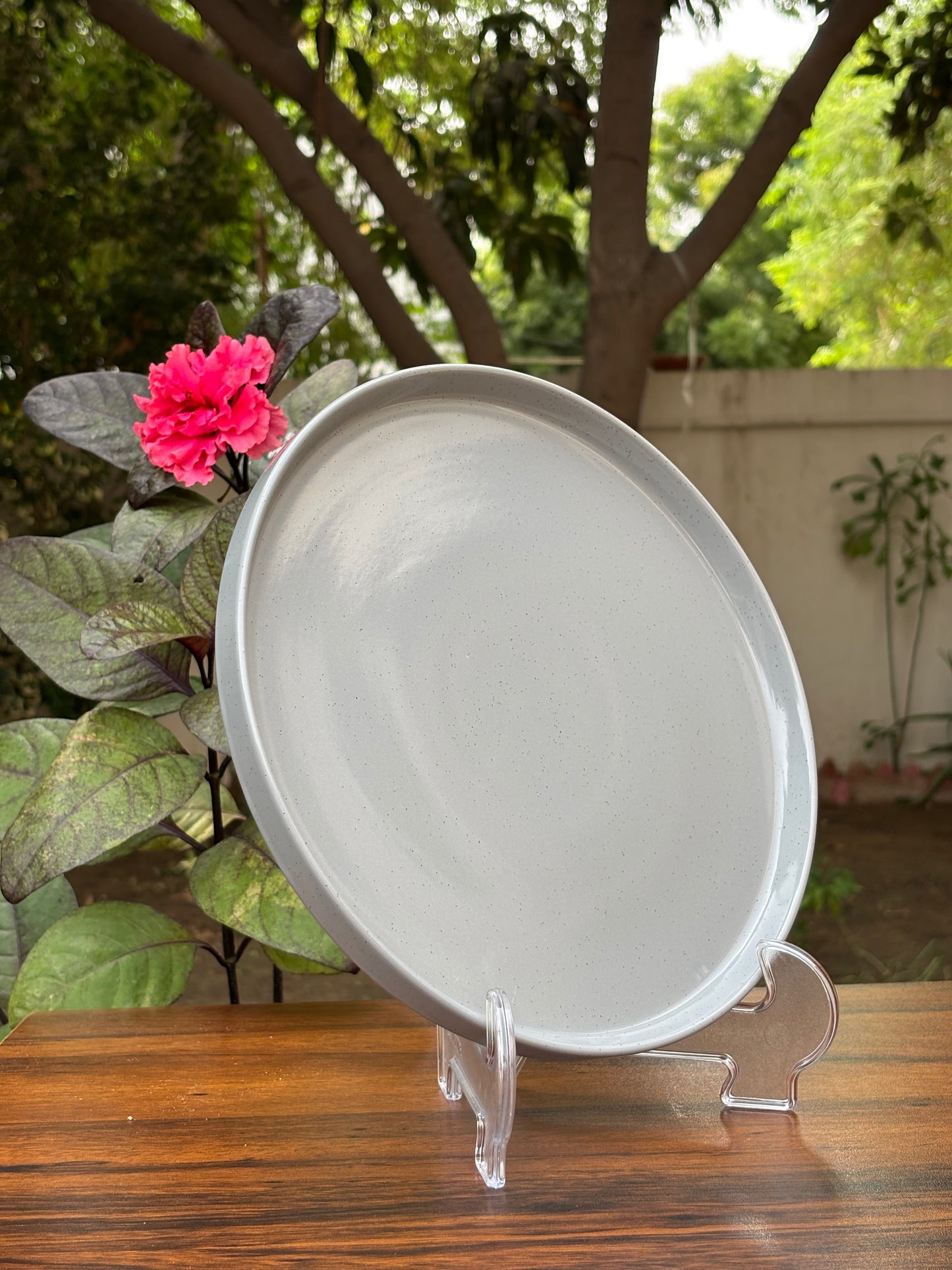 10 INCH CERAMIC DINNER PLATE