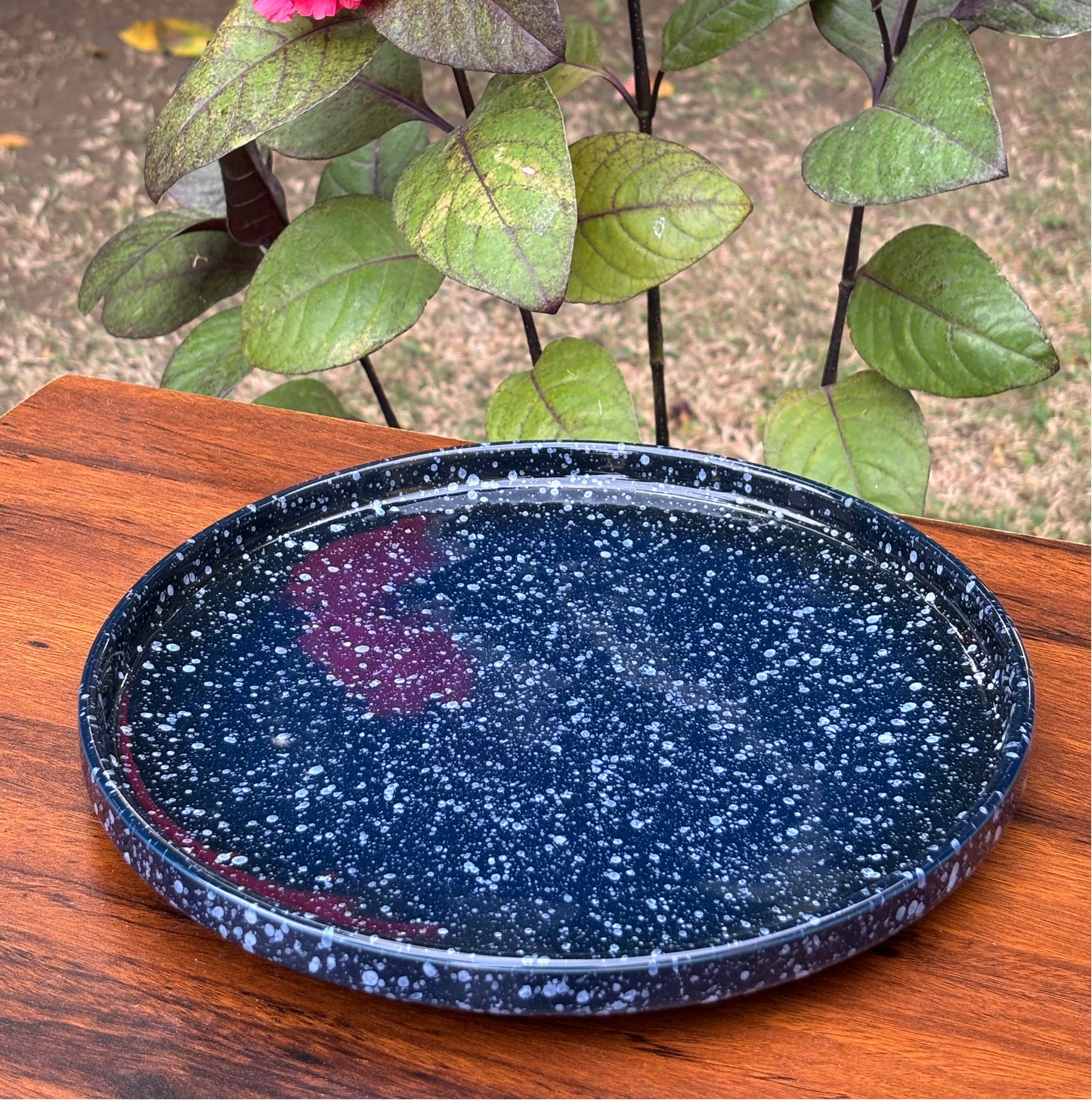 Dark Blue Starry Speckled Ceramic Dinner Plate | Modern Tableware