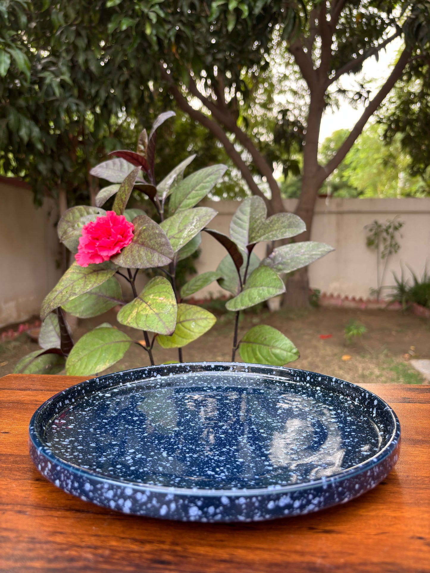 Dark Blue Starry Speckled Ceramic Dinner Plate | Modern Tableware