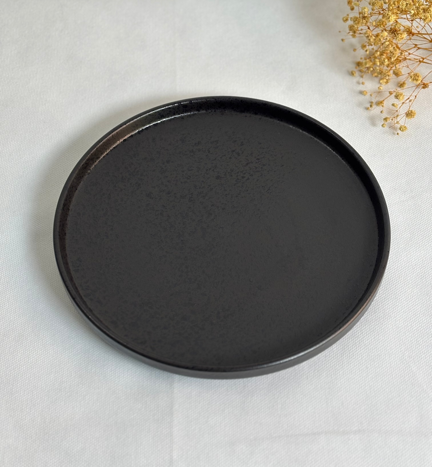 Matte Black Speckled Ceramic Plate Set | Pair of 2 Plates