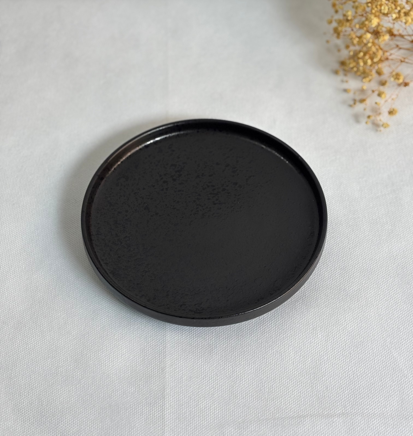 Matte Black Speckled Ceramic Plate Set | Pair of 2 Plates