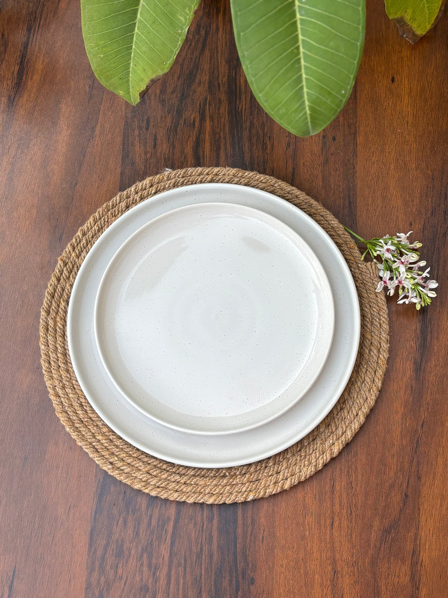 Premium White Speckled Ceramic Plates