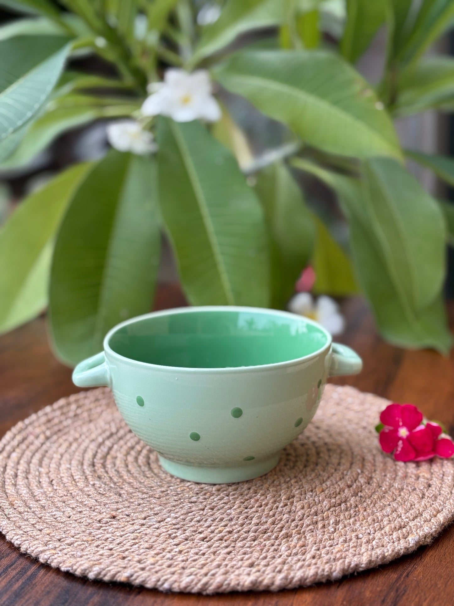 Light Green Polka Dot Ceramic Multi Purpose Bowl with Dual Handles