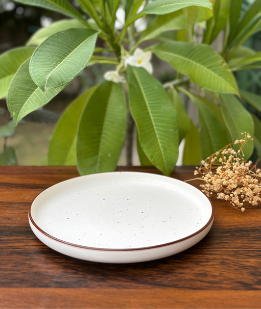 Off White Speckled Ceramic Dinner Plate | Minimalist Kitchenware