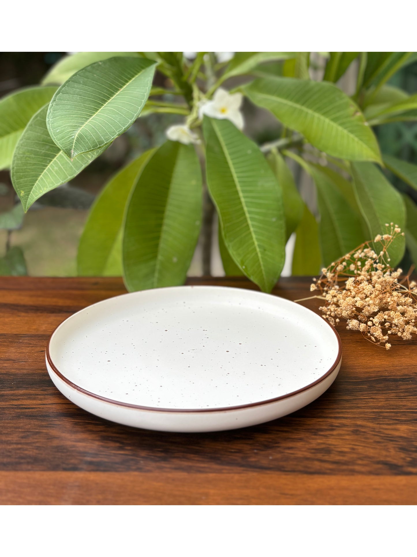 10 INCH DINNER PLATE - MATT FINISH